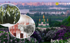 Киев, кот и Киев весной