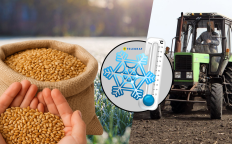 Як погода вплине на культуру