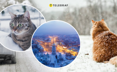 Снег в Украине