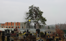 Строительство крематория во Львове