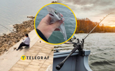 Рыбак якобы поймал акулу в пресной воде