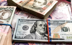 Гривны и доллары