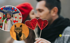 Мемы о Дне влюбленных