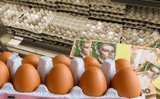 Куриные яйца