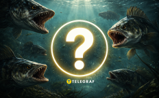 В Десне выловили ротана