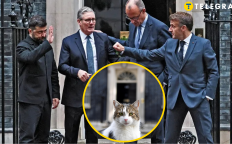 Лидеры Украины, Великобритании, ФРГ, Франции и кот Ларри