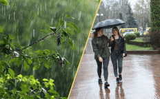 Ожидаются дожди и грозы