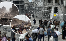 Сектор Газа