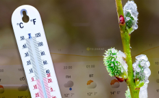 Прогноз погоды