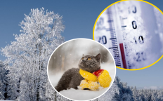 Морозы не отступают из Украины