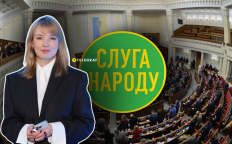 Елена Шуляк, "Слуга народа"