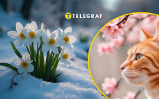 Прогноз на март 2026