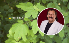 Степан Гига впервые исполнил "Яворину" в 1995 году