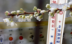 Прогноз погоды