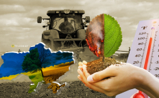 Теплі зими мають як плюси, так й мінуси для аграрного сектора. Фото Колаж "Телеграфа"