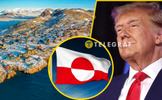 Трамп заинтересован в Гренландии