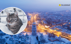 Погода в Украине зимой