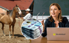 Конюх, деньги и женщина за ноутбуком