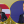 Олексій Руденко