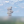 Юлия Потерянко
