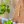 Елена Мазун