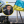 Вадим Михальченко
