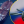 Женя Хамстер