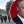 Ольга Кирилова