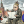 Денис Подставной