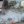 Елена Вечканова