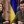 Андрей Питонов