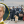 Анастасія Рибенко