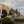 Кирилл Сазонов