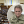 Анастасія Галата