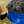 Ольга Кирилова