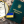 Каролина Терещенко