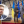 Ангелина Тараненко