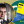 Анастасія Рибенко