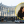 Владислава Коваль