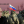 Тетяна Крутякова