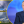 Наталья Кухарик