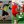 Любомир Луканюк