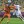 Михаил Корнилов