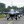 Дмитро Дубенський