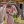 Елена Вечканова