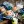Марія Швець