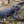 Иванка Гамчук