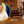 Ангелина Тараненко