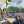 Денис Подставной