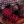 Марія Швець